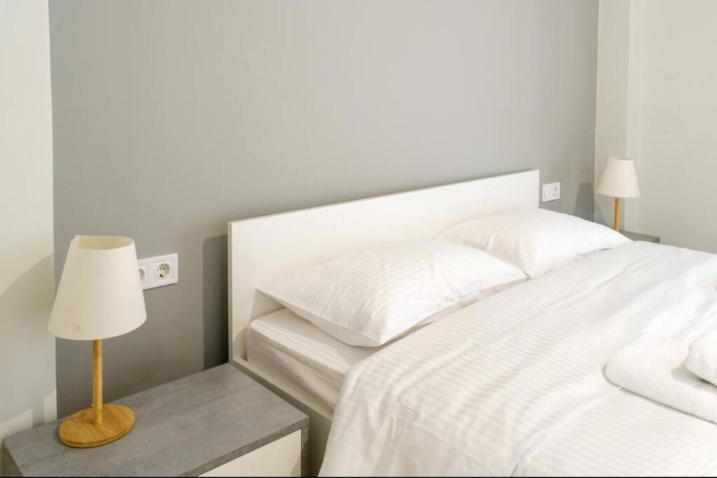 アテネModern Pangrati Flat!アパートメント エクステリア 写真